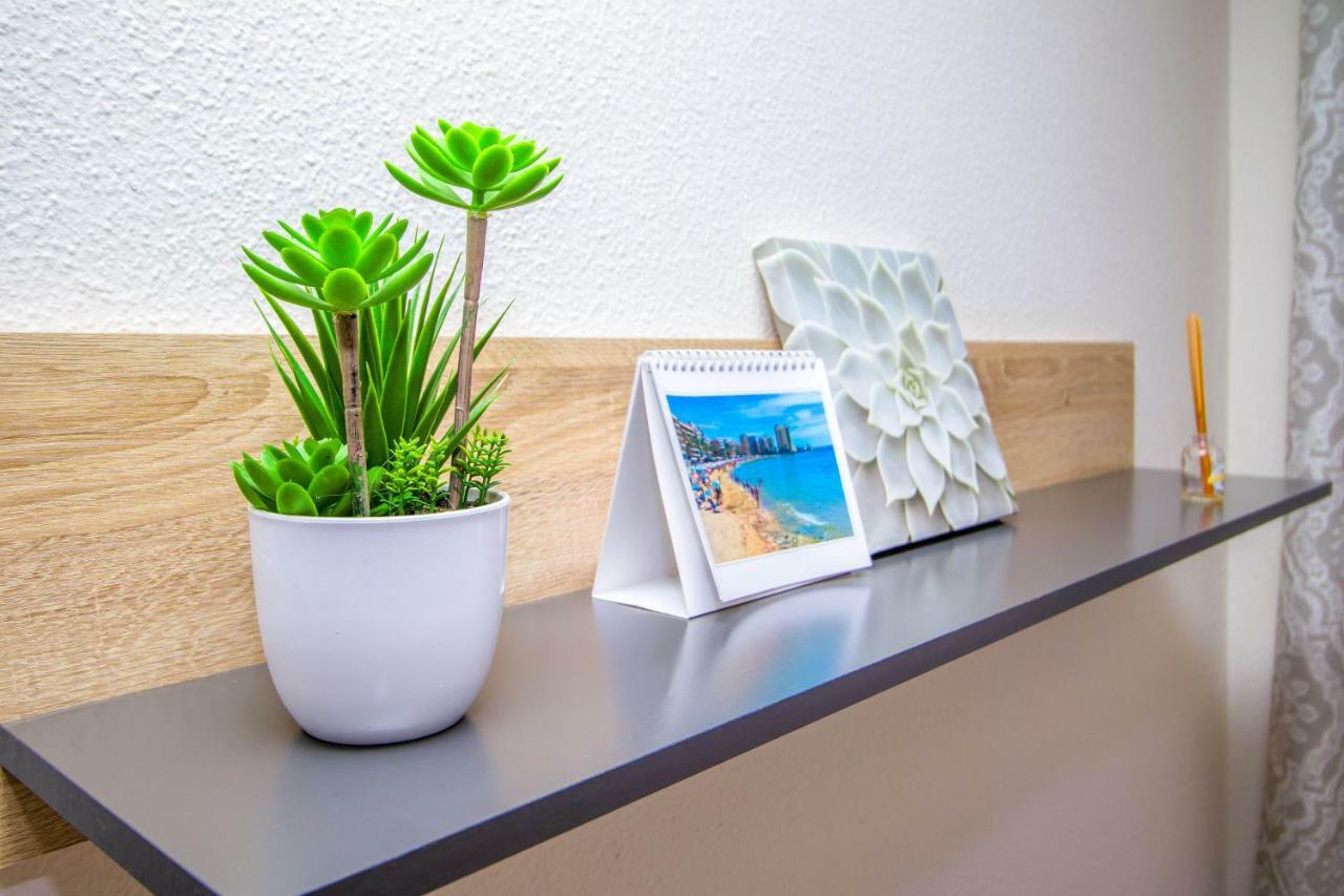 Jose Hurtado Apartamento Torrevieja Dış mekan fotoğraf
